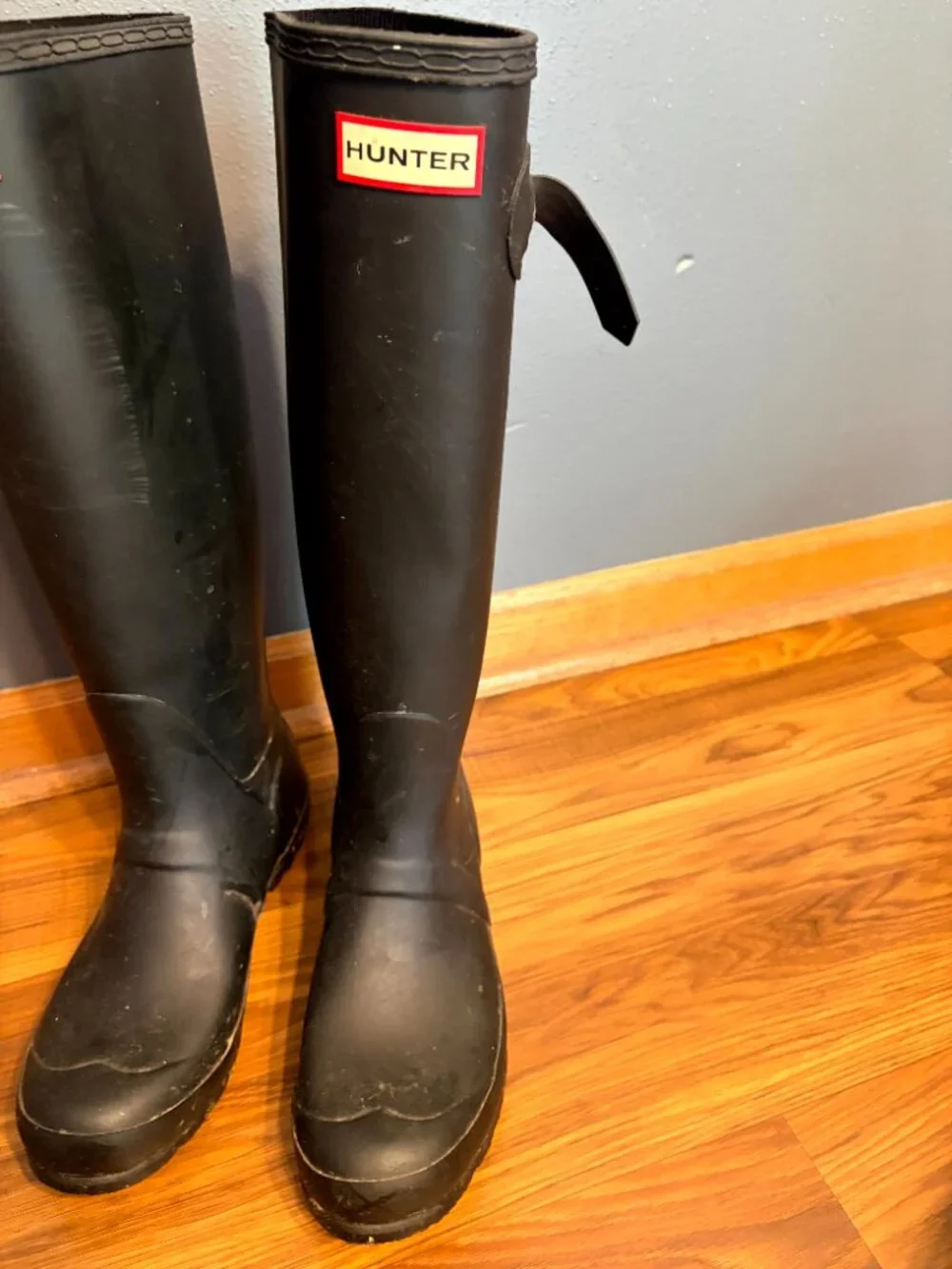 Hunter original tall